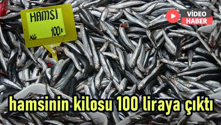 Hamsinin Kilosu 100 Liraya Çıktı