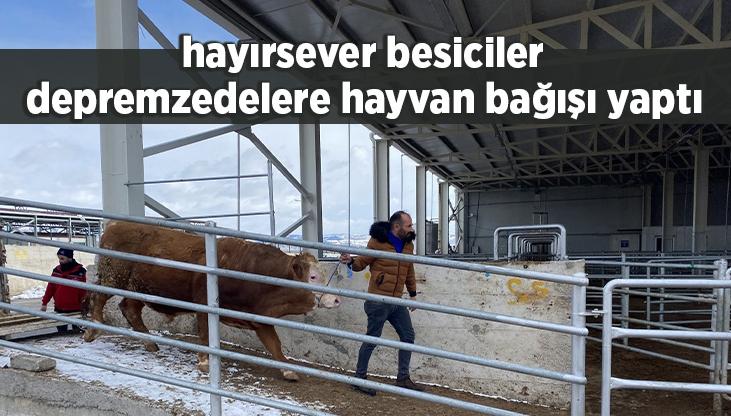Hayırsever Besiciler Depremzedelere Hayvan Bağışı Yaptı