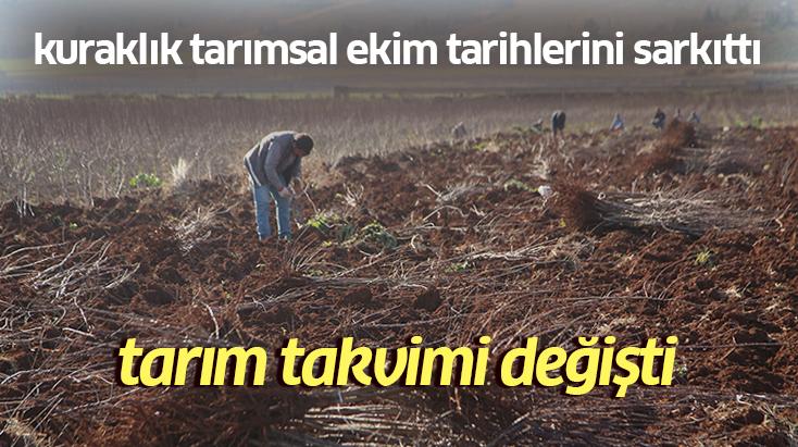 Kuraklık Tarımsal Ekim Tarihlerini Sarkıttı: Tarım Takvimi Değişti