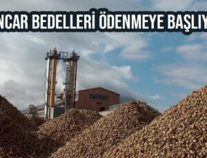 Pancar Bedelleri Ödenmeye Başlıyor