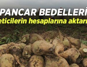 Pancar Bedelleri Üreticilerin Hesaplarına Aktarıldı