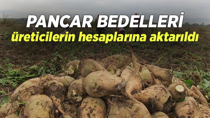 Pancar Bedelleri Üreticilerin Hesaplarına Aktarıldı