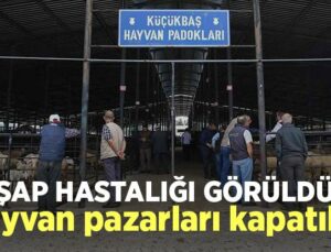 Şap Hastalığı Görüldü, Hayvan Pazarları Kapatıldı