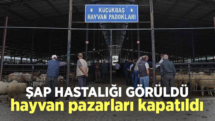 Şap Hastalığı Görüldü, Hayvan Pazarları Kapatıldı