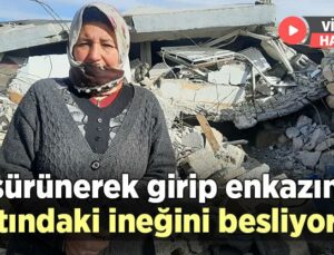 Sürünerek Girip Enkazın Altındaki Ineğini Besliyor