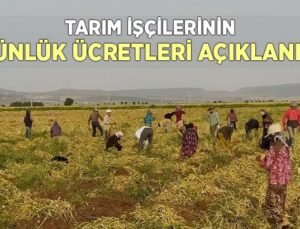 Tarım Işçilerinin Günlük Ücretleri Açıklandı