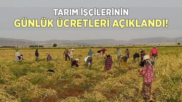 Tarım Işçilerinin Günlük Ücretleri Açıklandı