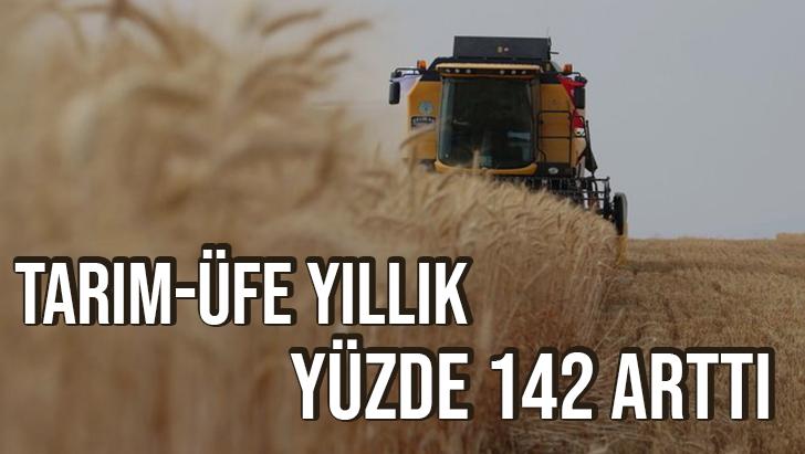 Tarım-Üfe Yıllık Yüzde 142 Arttı