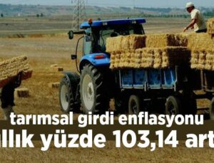 Tarımsal Girdi Enflasyonu Yıllık %103,14 Arttı