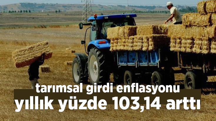 Tarımsal Girdi Enflasyonu Yıllık %103,14 Arttı