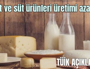 Tüi̇k Açıkladı: Süt Ve Süt Ürünleri Üretimi Azaldı