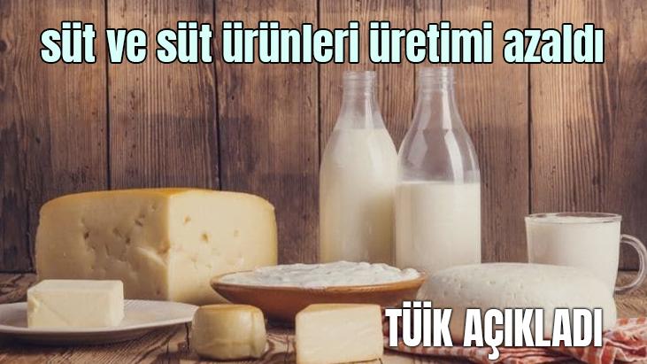 Tüi̇k Açıkladı: Süt Ve Süt Ürünleri Üretimi Azaldı