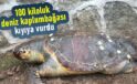 100 kiloluk deniz kaplumbağası kıyıya vurdu