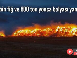 2 Bin Fiğ Ve 800 Ton Yonca Balyası Yandı