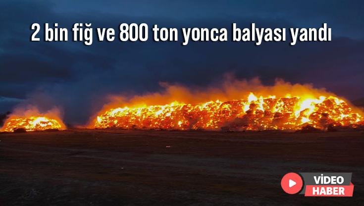 2 Bin Fiğ Ve 800 Ton Yonca Balyası Yandı