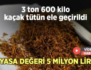 3 Ton 600 Kilo Kaçak Tütün Ele Geçirildi