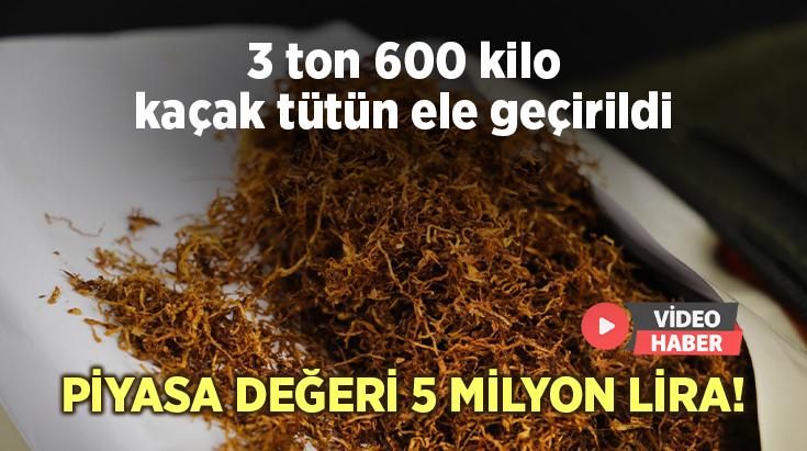 3 Ton 600 Kilo Kaçak Tütün Ele Geçirildi