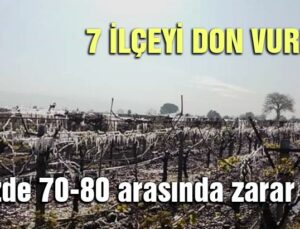 7 Ilçeyi Don Vurdu: Yüzde 70-80 Arasında Zarar Var