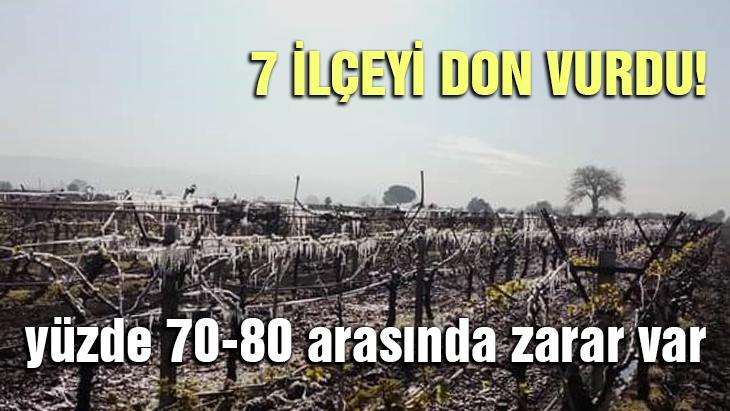 7 Ilçeyi Don Vurdu: Yüzde 70-80 Arasında Zarar Var