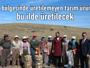 Afet Bölgesinde Üretilemeyen Tarım Ürünleri Bu Ilde Üretilecek