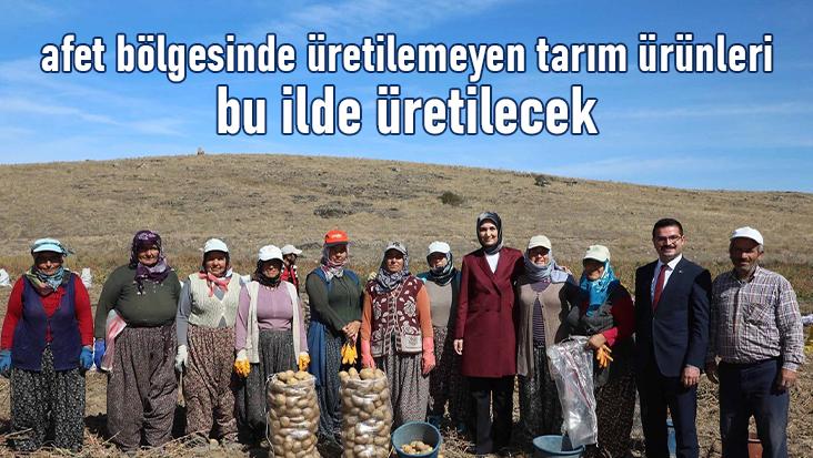 Afet Bölgesinde Üretilemeyen Tarım Ürünleri Bu Ilde Üretilecek