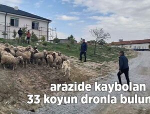 Arazide kaybolan 33 koyun dronla bulundu