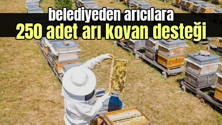 Belediyeden arıcılara 250 adet arı kovan desteği