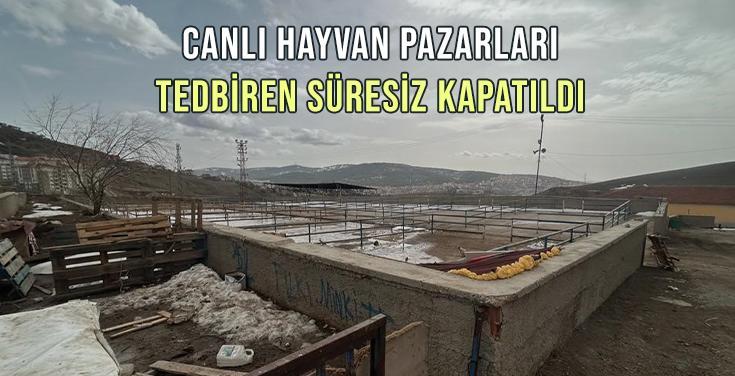 Canlı Hayvan Pazarları Tedbiren Kapatıldı