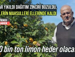 Depolar Yıkıldı Dağıtım Zinciri Bozuldu, Çiftçilerin Mahsulleri Ellerinde Kaldı