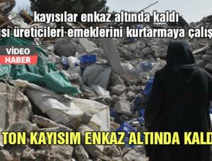 Deprem Bölgesinde Kayısı Üreticileri Emeklerini Kurtarmaya Çalışıyor