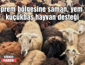 Deprem Bölgesine Saman, Yem Ve Küçükbaş Hayvan Desteği