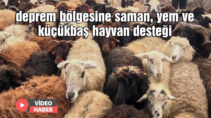 Deprem Bölgesine Saman, Yem Ve Küçükbaş Hayvan Desteği