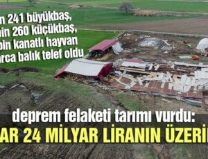 Deprem Felaketi Tarımı Vurdu: Zarar 24 Milyar Liranın Üzerinde