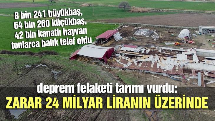 Deprem Felaketi Tarımı Vurdu: Zarar 24 Milyar Liranın Üzerinde