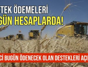 Destek Ödemeleri Bugün Hesaplarda!