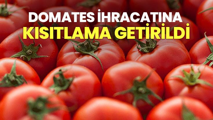 Domates Ihracatına Kısıtlama Getirildi