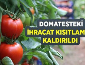 Domatesteki Ihracat Kısıtlaması Kaldırıldı