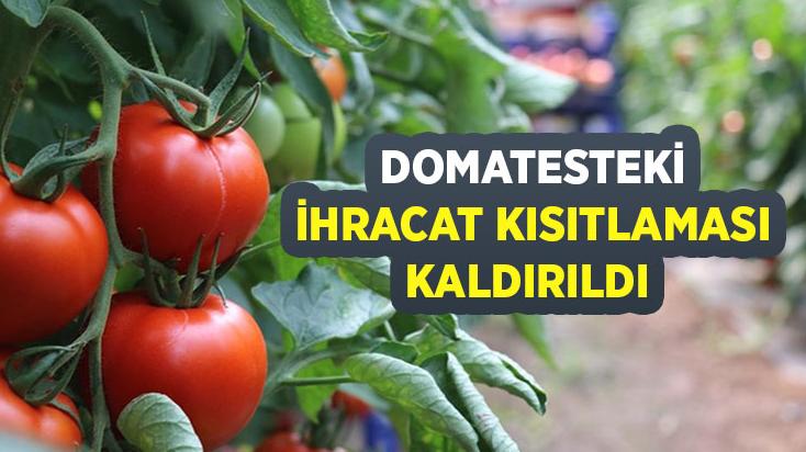 Domatesteki Ihracat Kısıtlaması Kaldırıldı