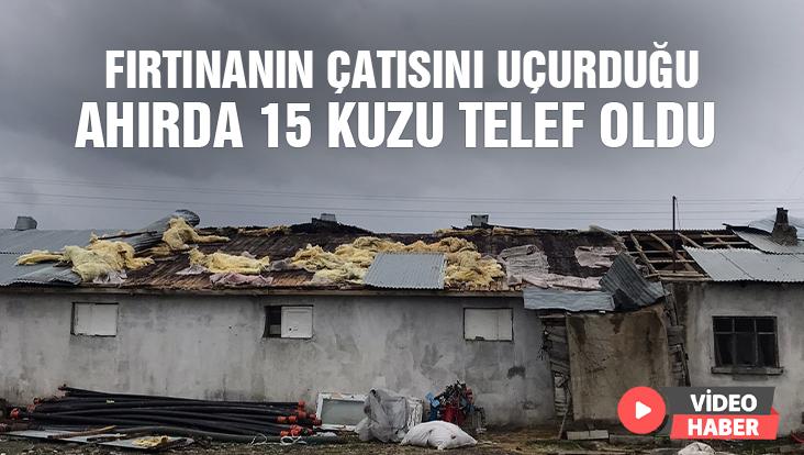 Fırtınanın Çatısını Uçurduğu Ahırda 15 Kuzu Telef Oldu