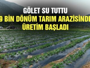 Gölet Su Tuttu 9 Bin Dönüm Tarım Arazisinde Üretim Başladı