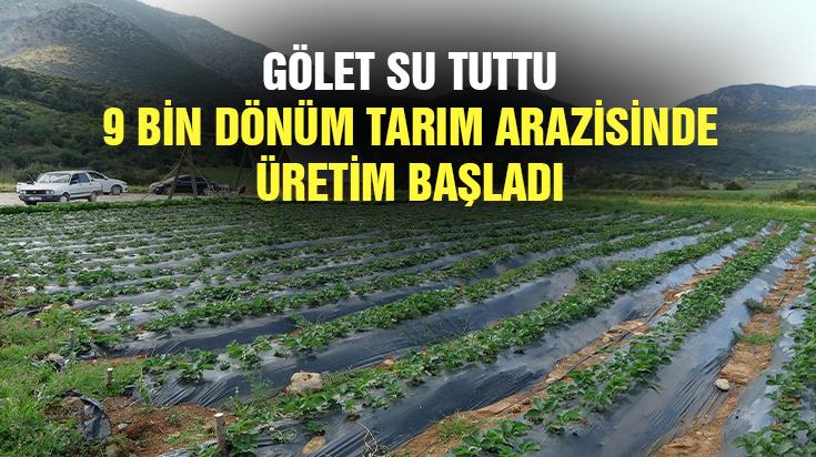 Gölet Su Tuttu 9 Bin Dönüm Tarım Arazisinde Üretim Başladı