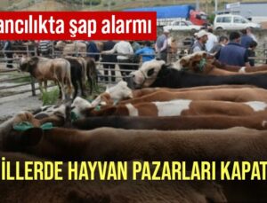 Hayvancılıkta Şap Alarmı: Tüm Illerde Hayvan Pazarları Kapatıldı!