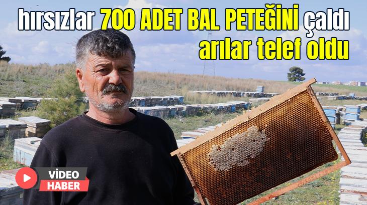 Hırsızlar 700 Adet Bal Peteğini Çaldı, Arılar Telef Oldu