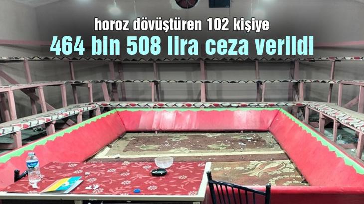 Horoz Dövüştüren 102 Kişiye 464 Bin 508 Lira Ceza Verildi