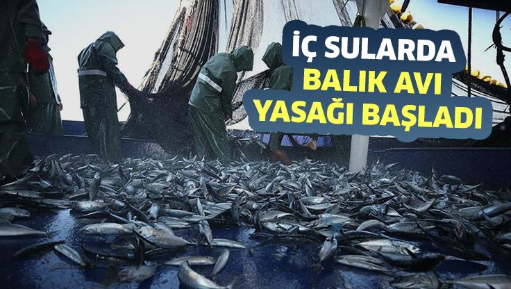 İç Sularda Balık Avı Yasağı Başladı