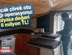 Kaçak Çörek Otu Yağı Operasyonu: Piyasa Değeri 8 Milyon Tl!