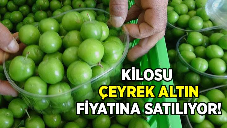 Kilosu Çeyrek Altın Fiyatına Satılıyor!