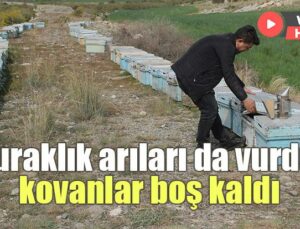 Kuraklık Arıları Da Vurdu, Kovanlar Boş Kaldı