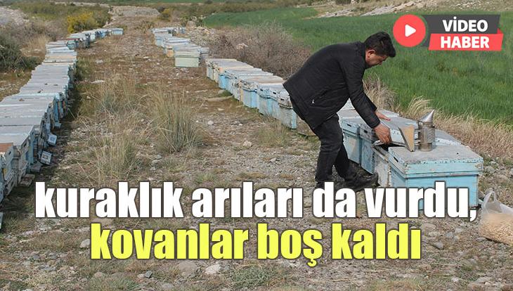 Kuraklık Arıları Da Vurdu, Kovanlar Boş Kaldı