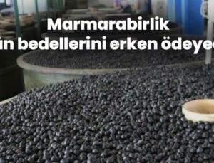 Marmarabirlik Ürün Bedellerini Erken Ödeyecek